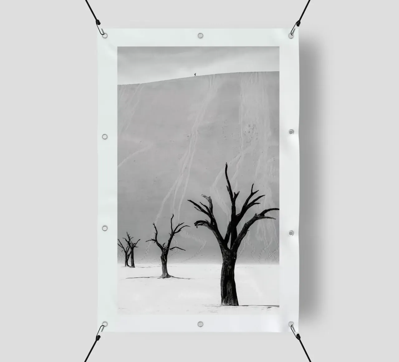 Deadvlei Trees II telo in pvc da METROPOLIS