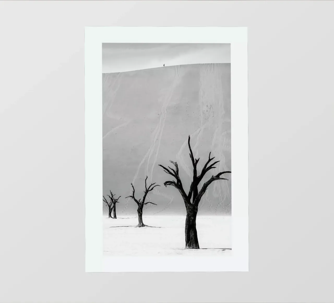 Deadvlei Trees II telo in pvc da METROPOLIS