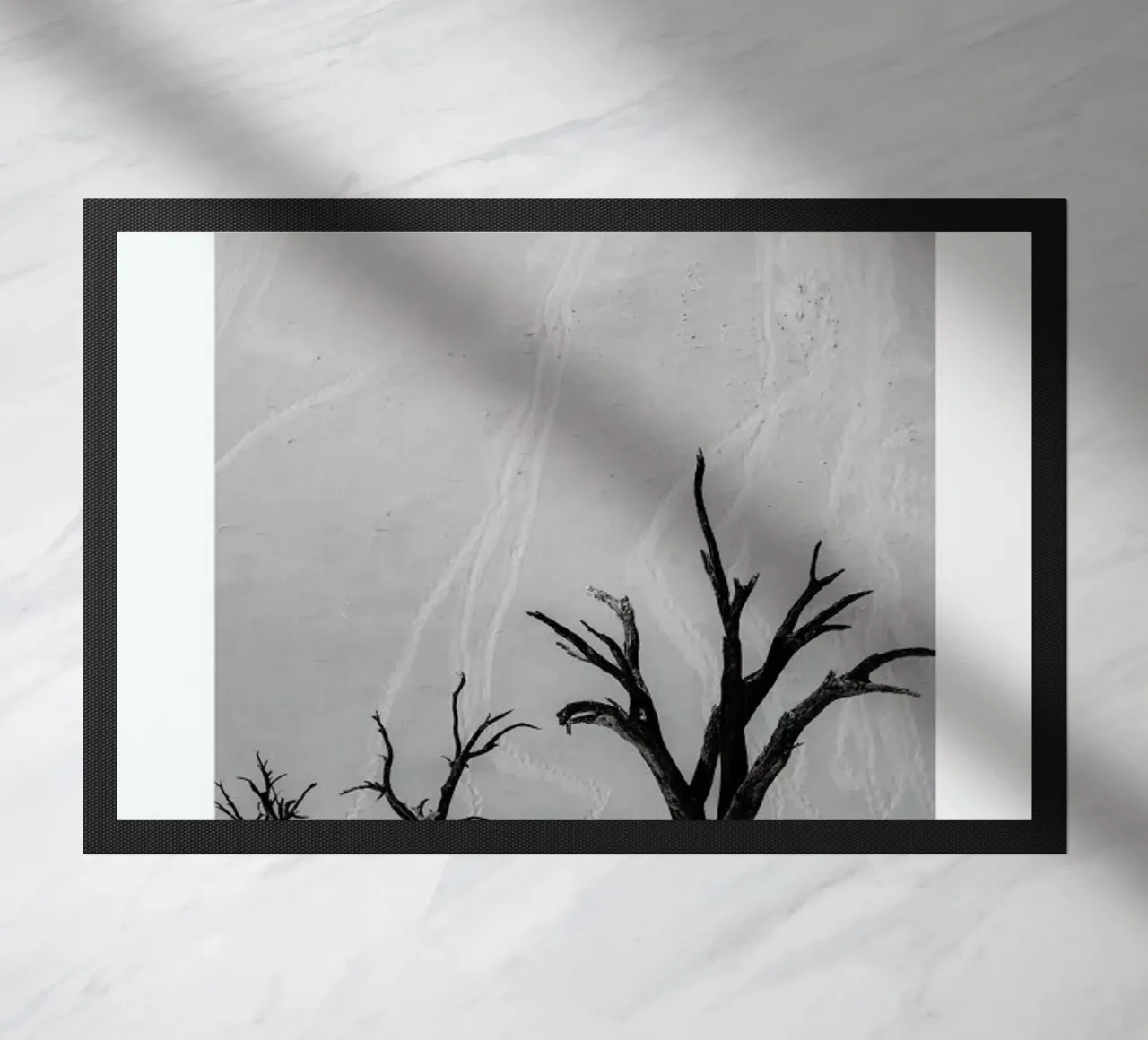 Deadvlei Trees II zerbino da METROPOLIS