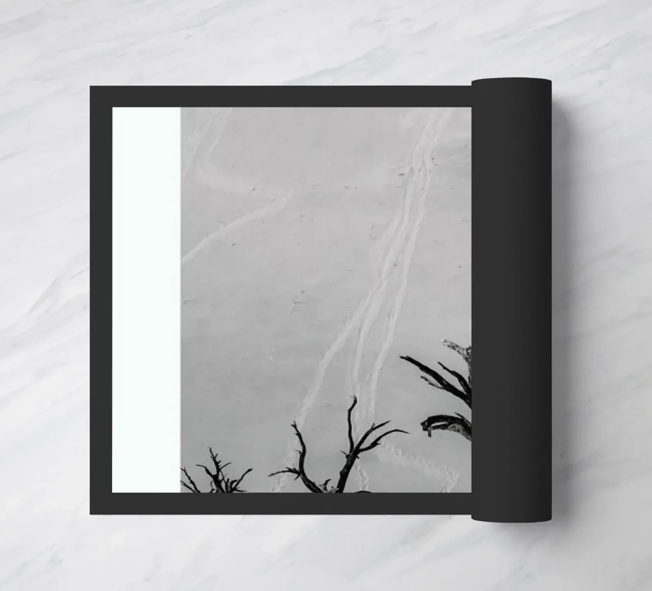 Deadvlei Trees II zerbino da METROPOLIS