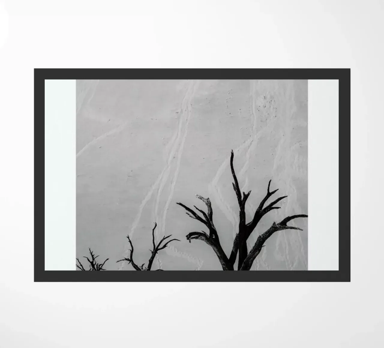 Deadvlei Trees II zerbino da METROPOLIS