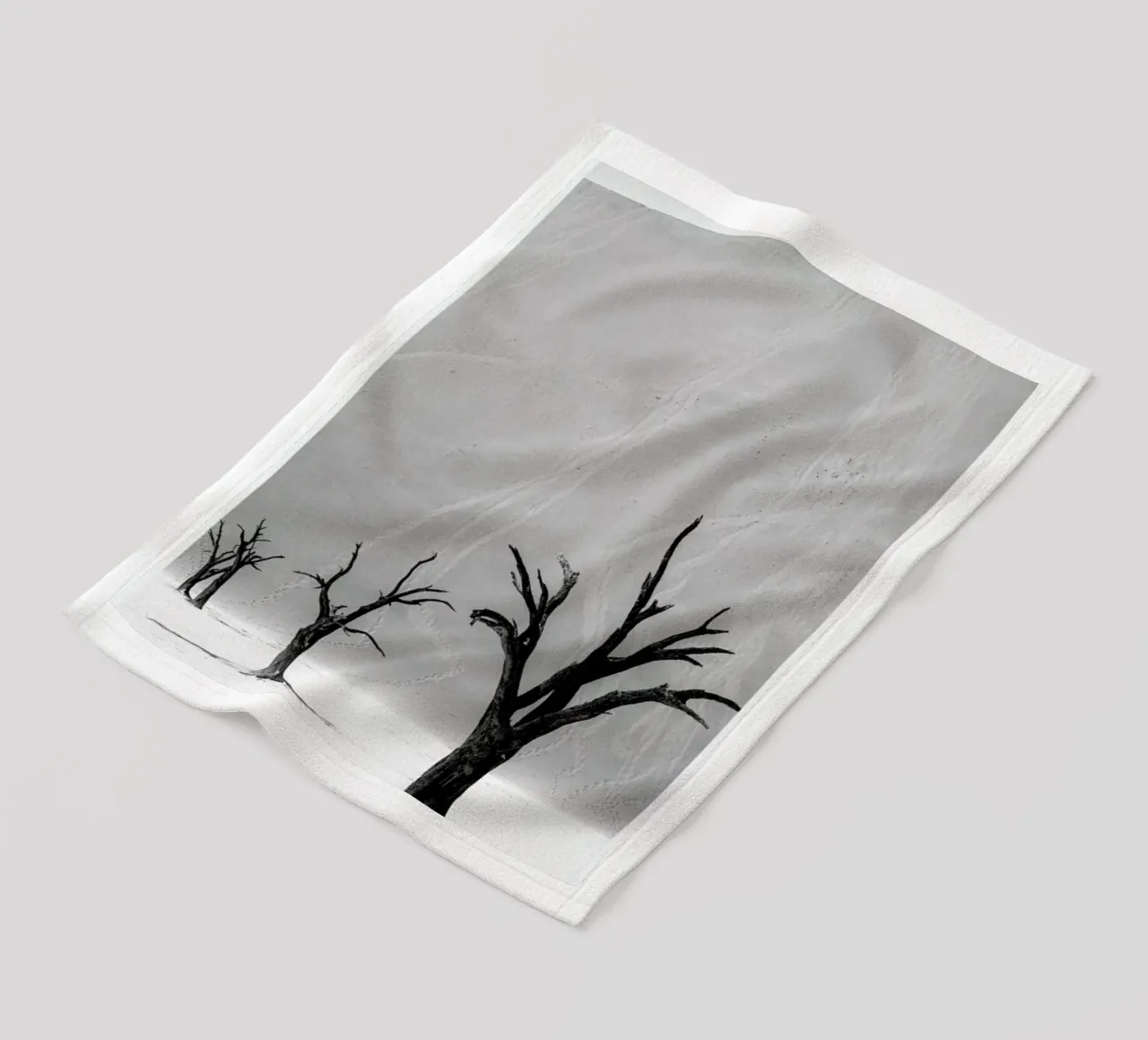 Deadvlei Trees II coperta in pile da METROPOLIS