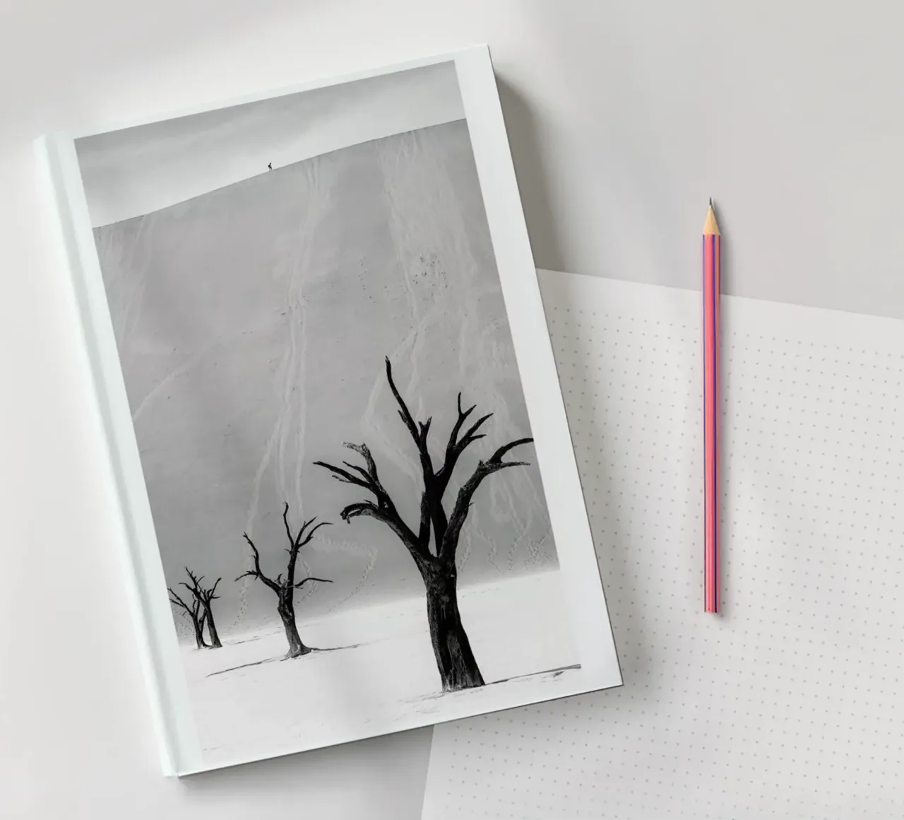 Deadvlei Trees II notebook by METROPOLIS