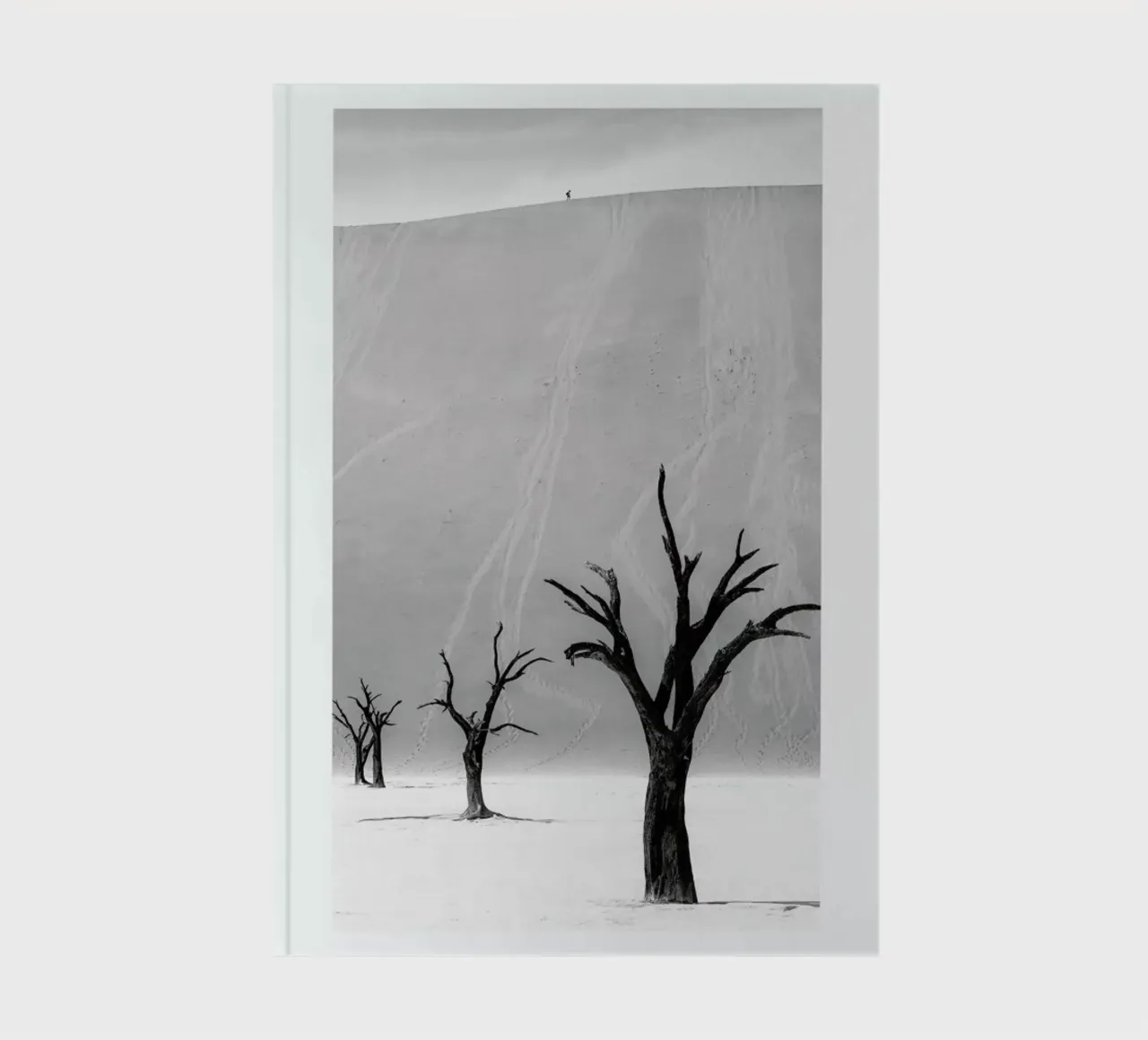 Deadvlei Trees II notebook by METROPOLIS