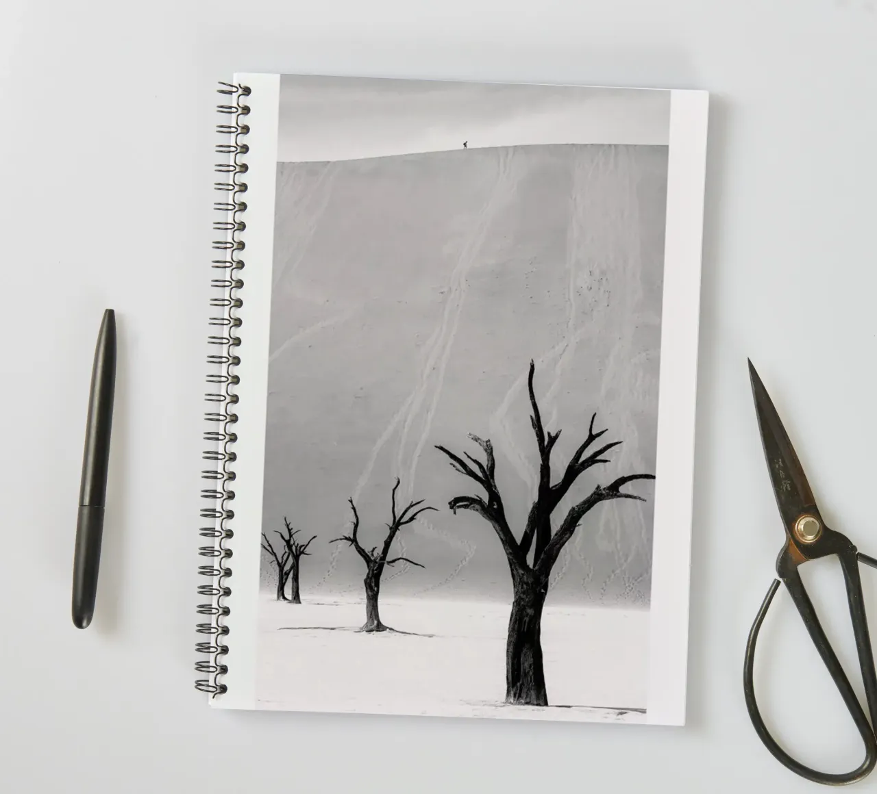 Deadvlei Trees II spiral notebook by METROPOLIS