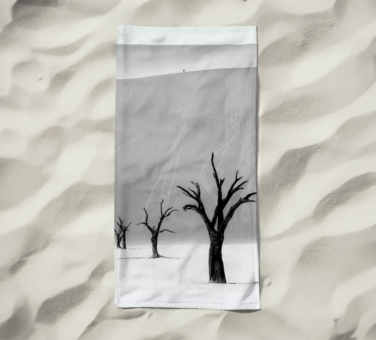 Deadvlei Trees II telo mare da METROPOLIS