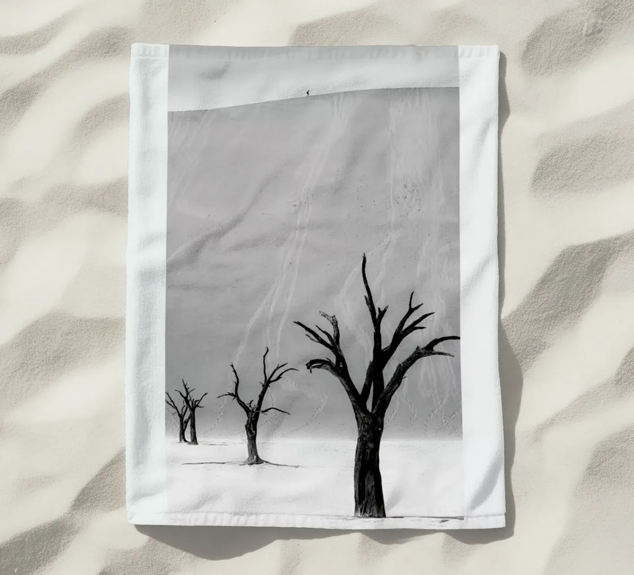 Deadvlei Trees II telo mare da METROPOLIS