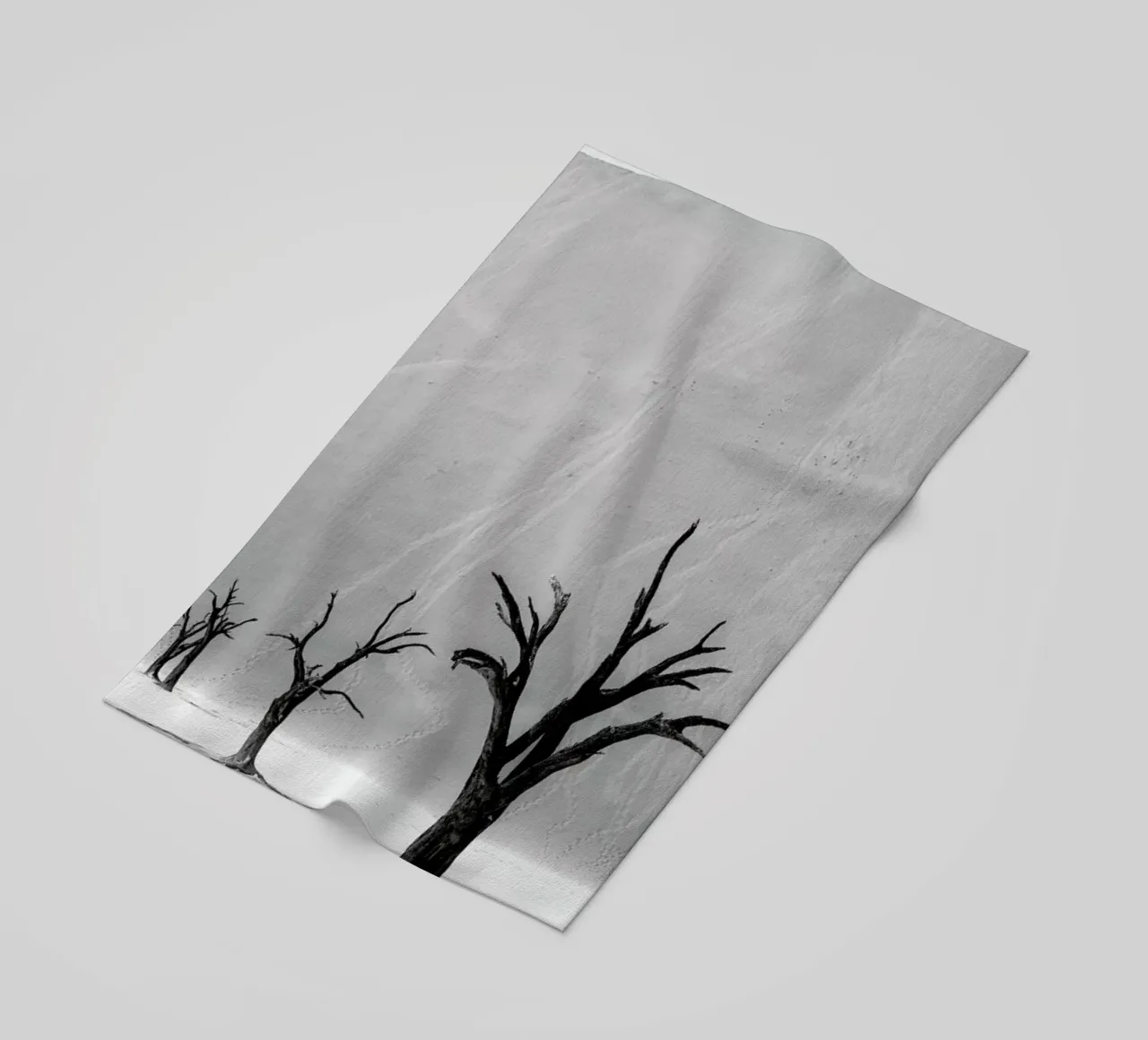 Deadvlei Trees II telo mare da METROPOLIS