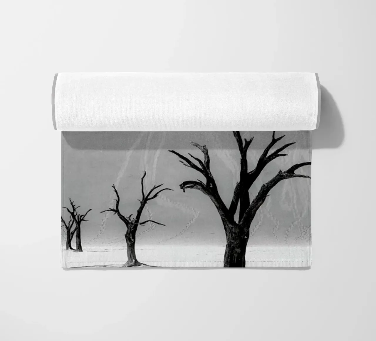 Deadvlei Trees II telo mare da METROPOLIS