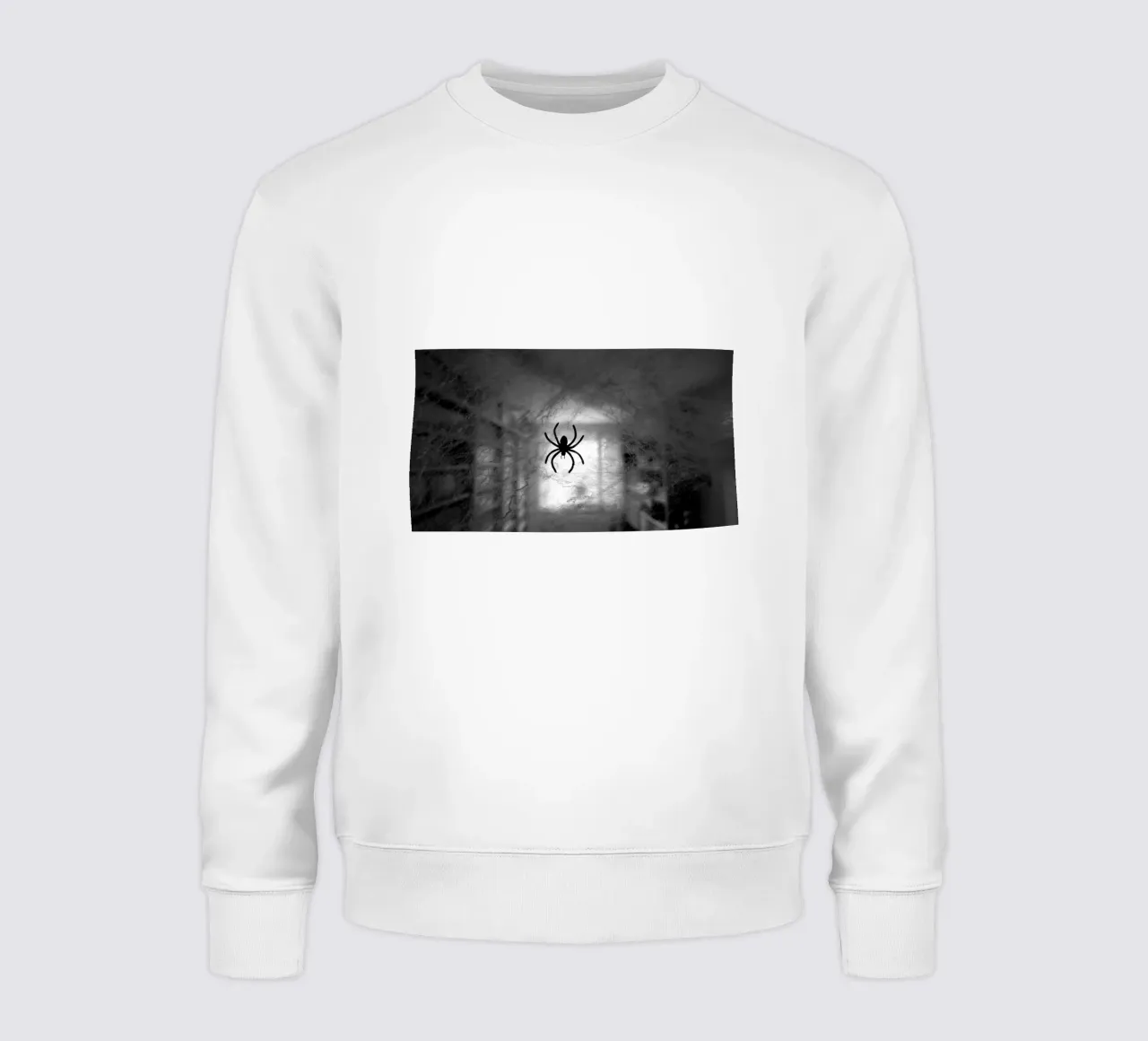 De spin sweatshirt van Massimo Frascogna