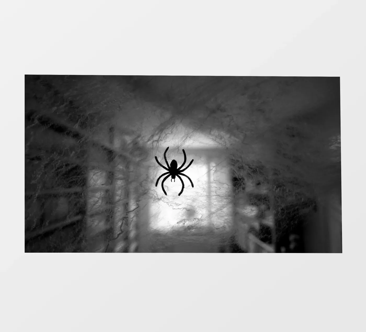 De spin fotobehang van Massimo Frascogna