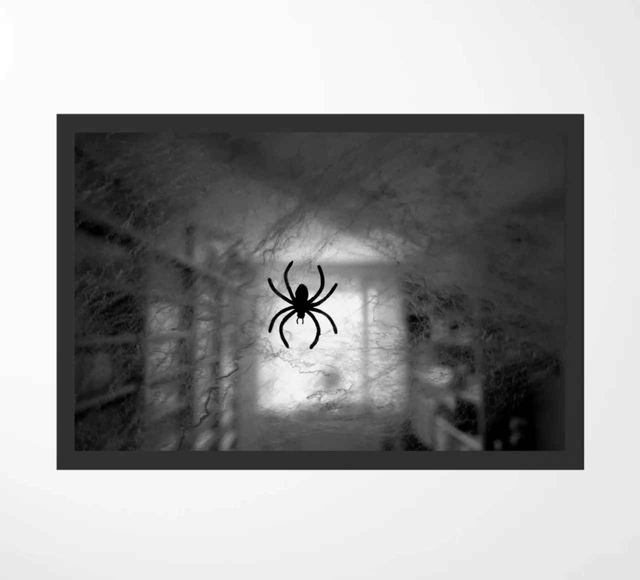 The spider deurmat van Massimo Frascogna