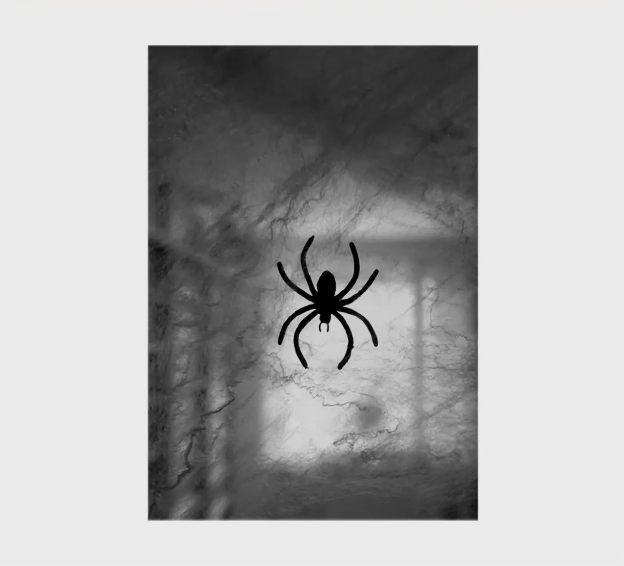The spider notebook by Massimo Frascogna
