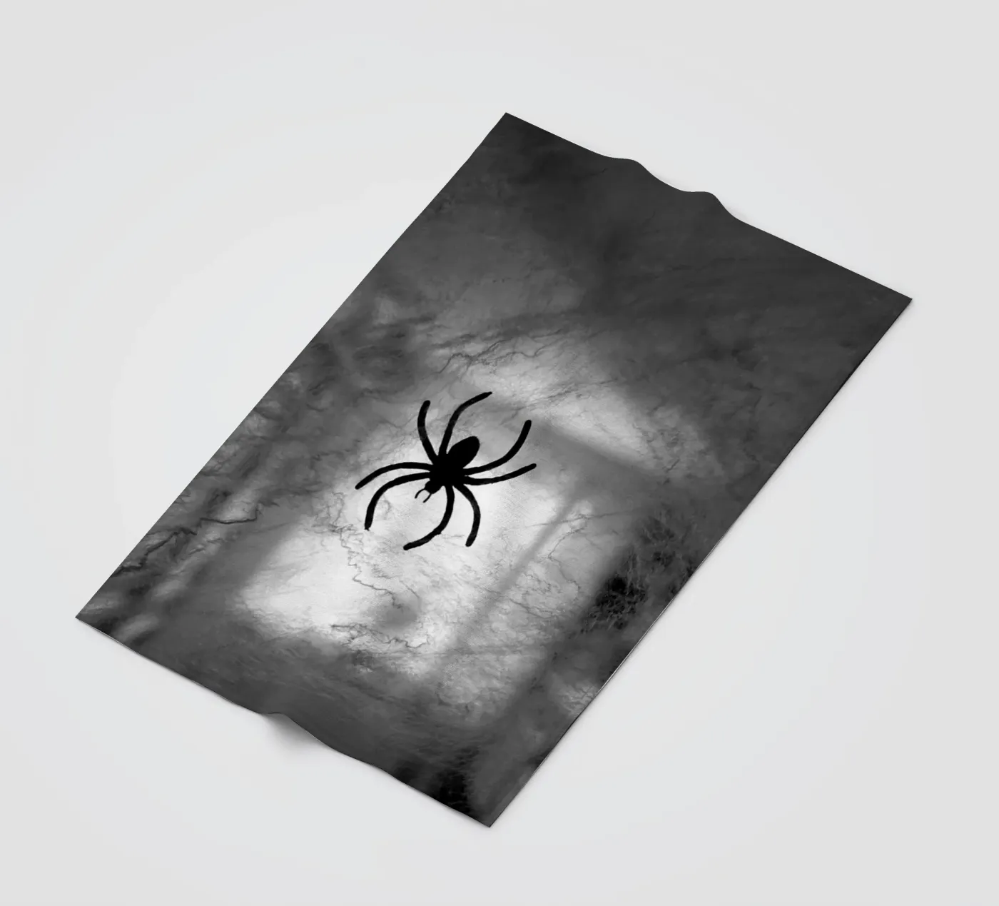 Die Spinne Fleecedecke von Massimo Frascogna