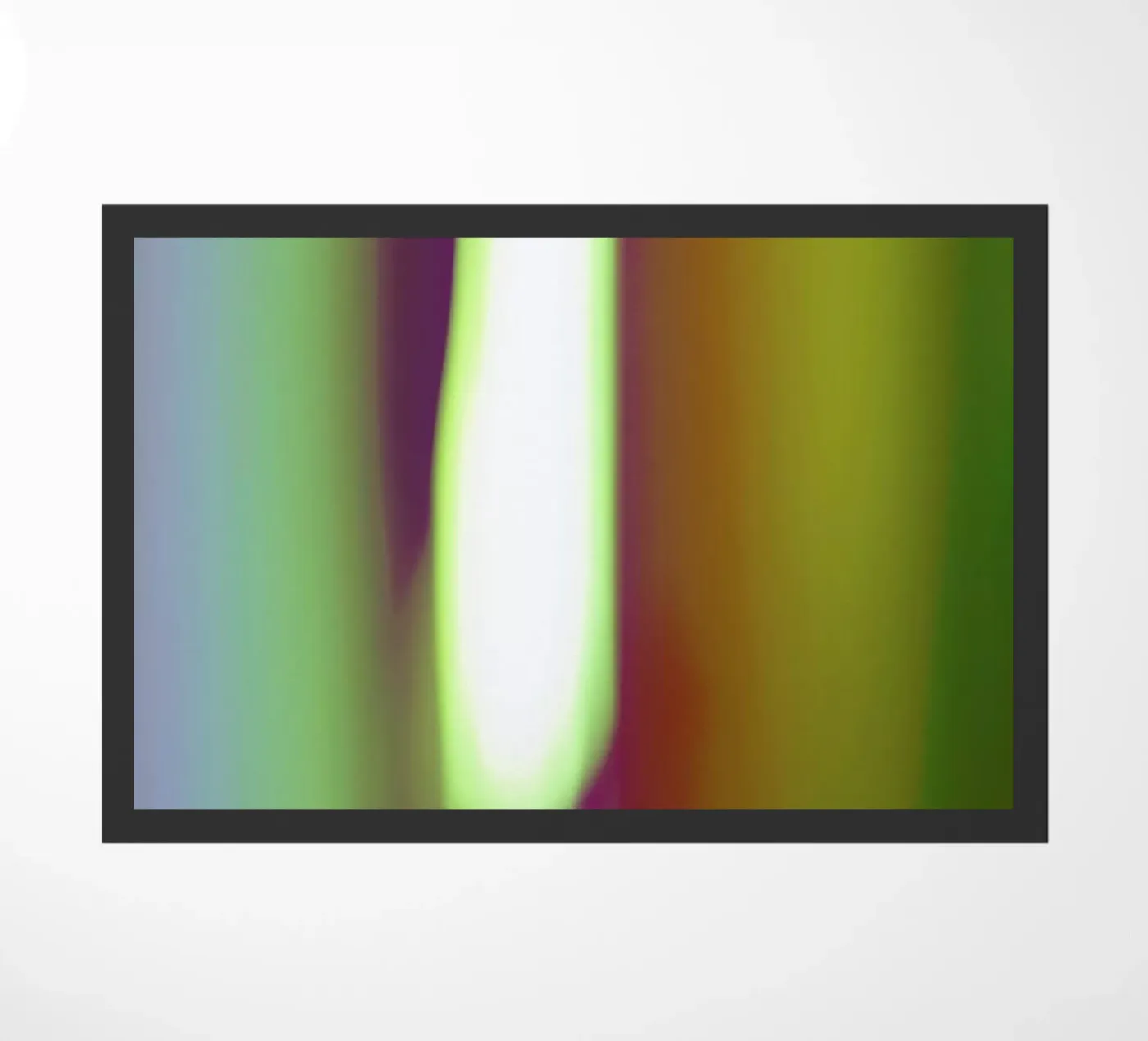 Saturn zerbino da Elena Veronese