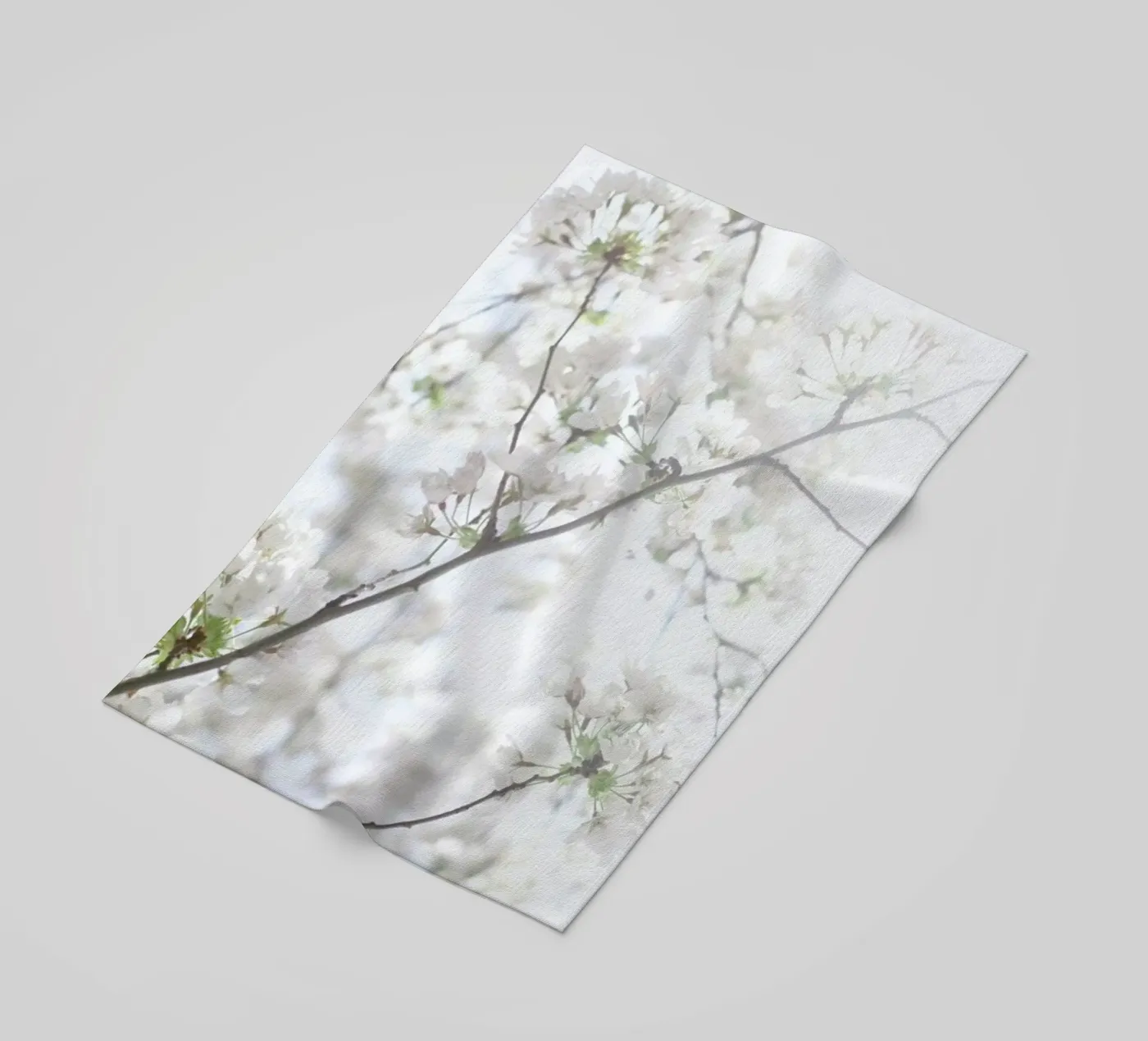 Cherry Blossoms 2 telo mare da Marlene Sørensen