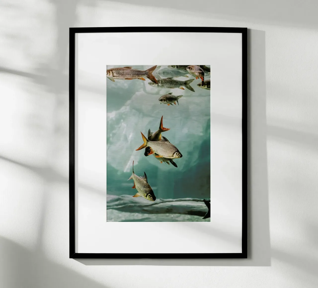 The Swarm 1 poster da Monika Strigel