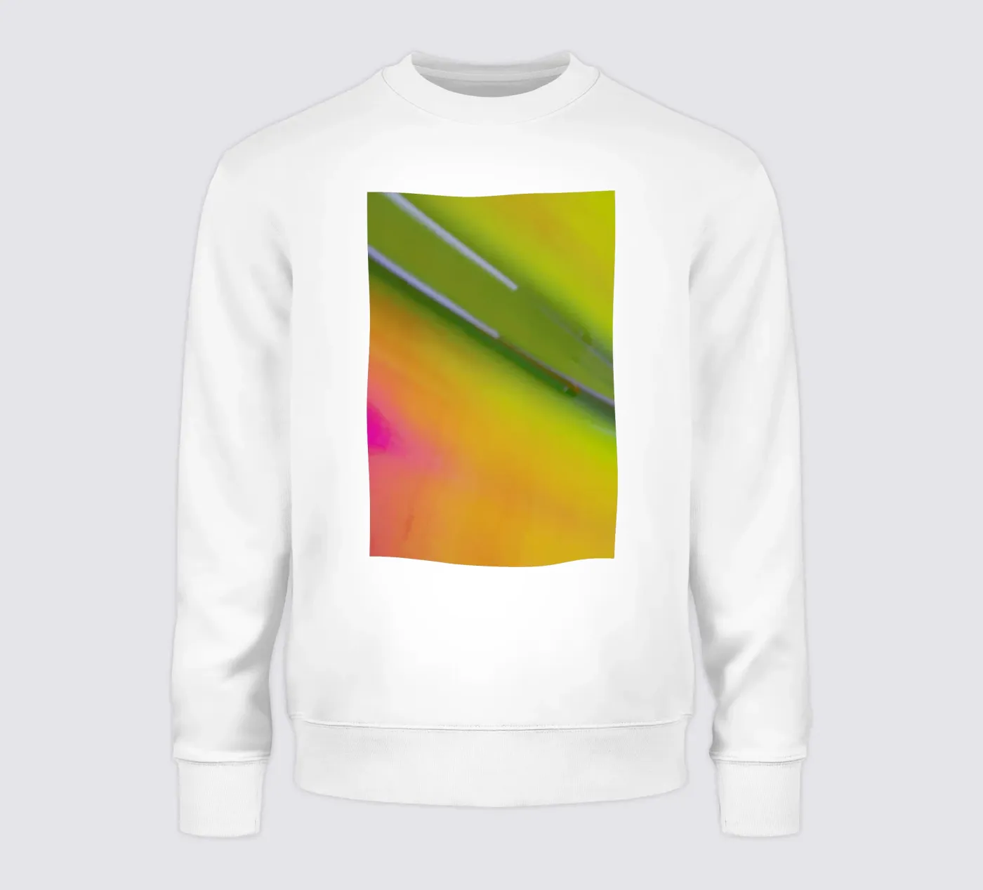 Pluto sweatshirt van Elena Veronese