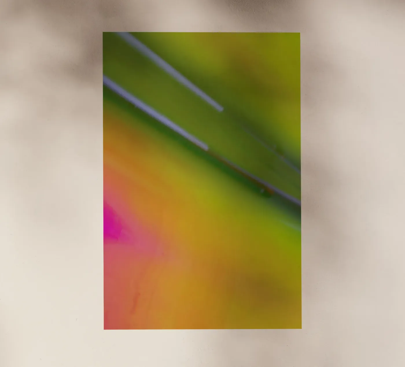 Pluto backlit film by Elena Veronese