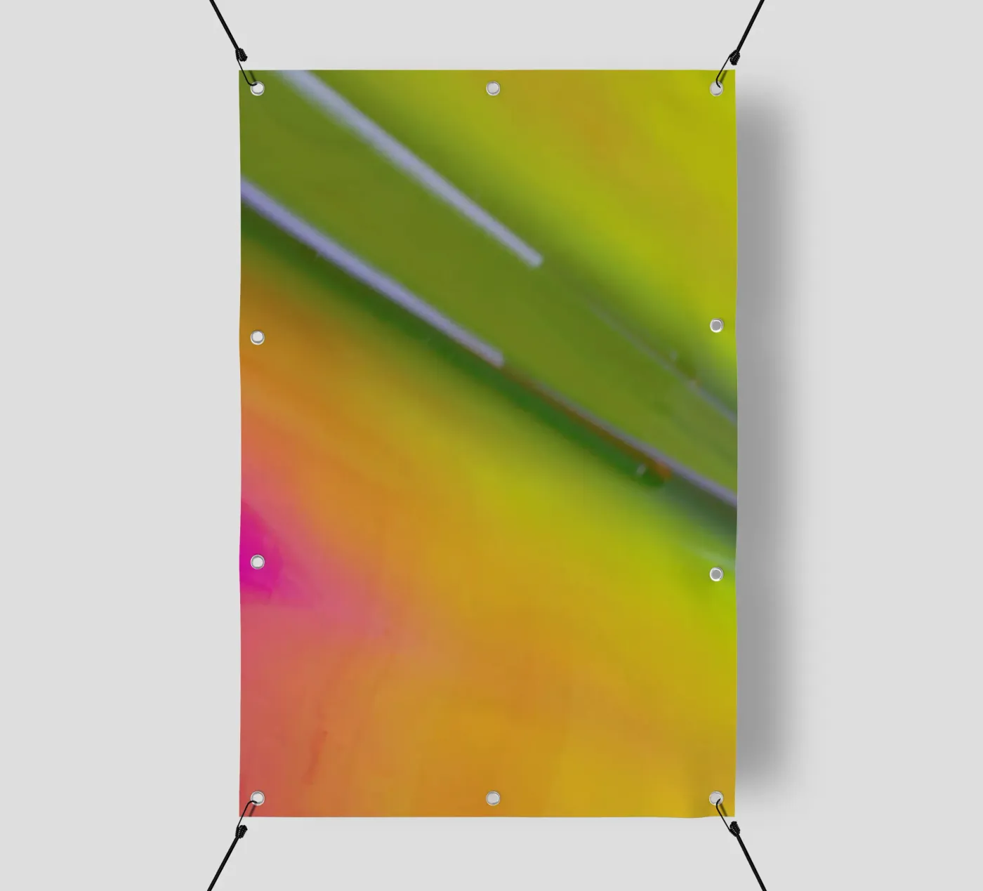 Pluto telo in pvc da Elena Veronese