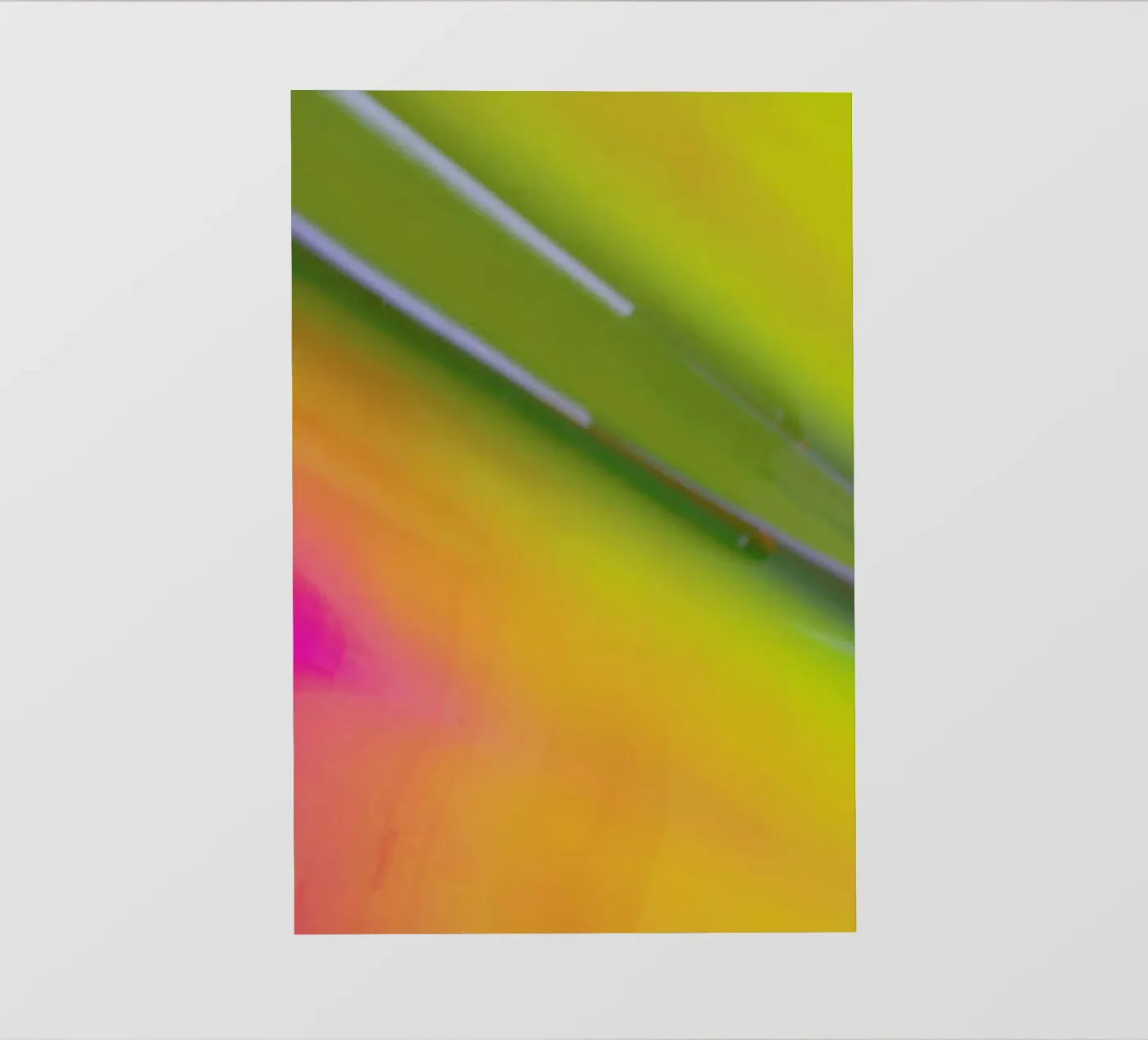 Pluto telo in pvc da Elena Veronese