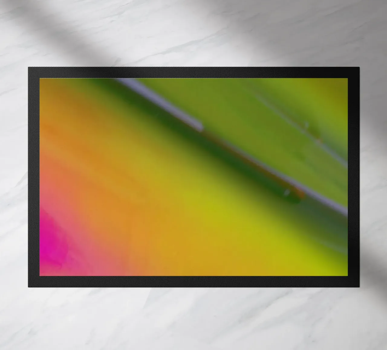 Pluto zerbino da Elena Veronese