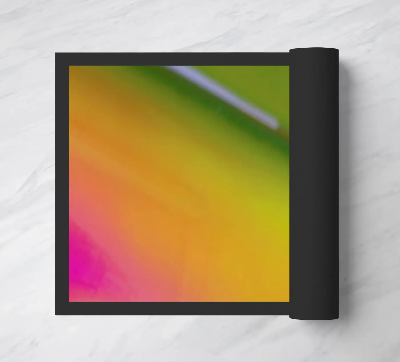 Pluto zerbino da Elena Veronese