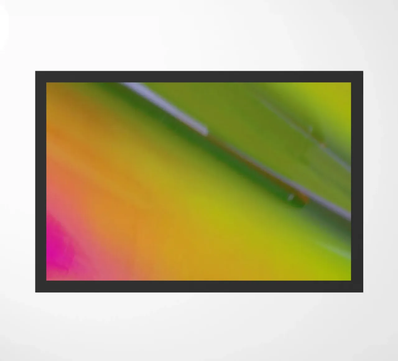 Pluto zerbino da Elena Veronese