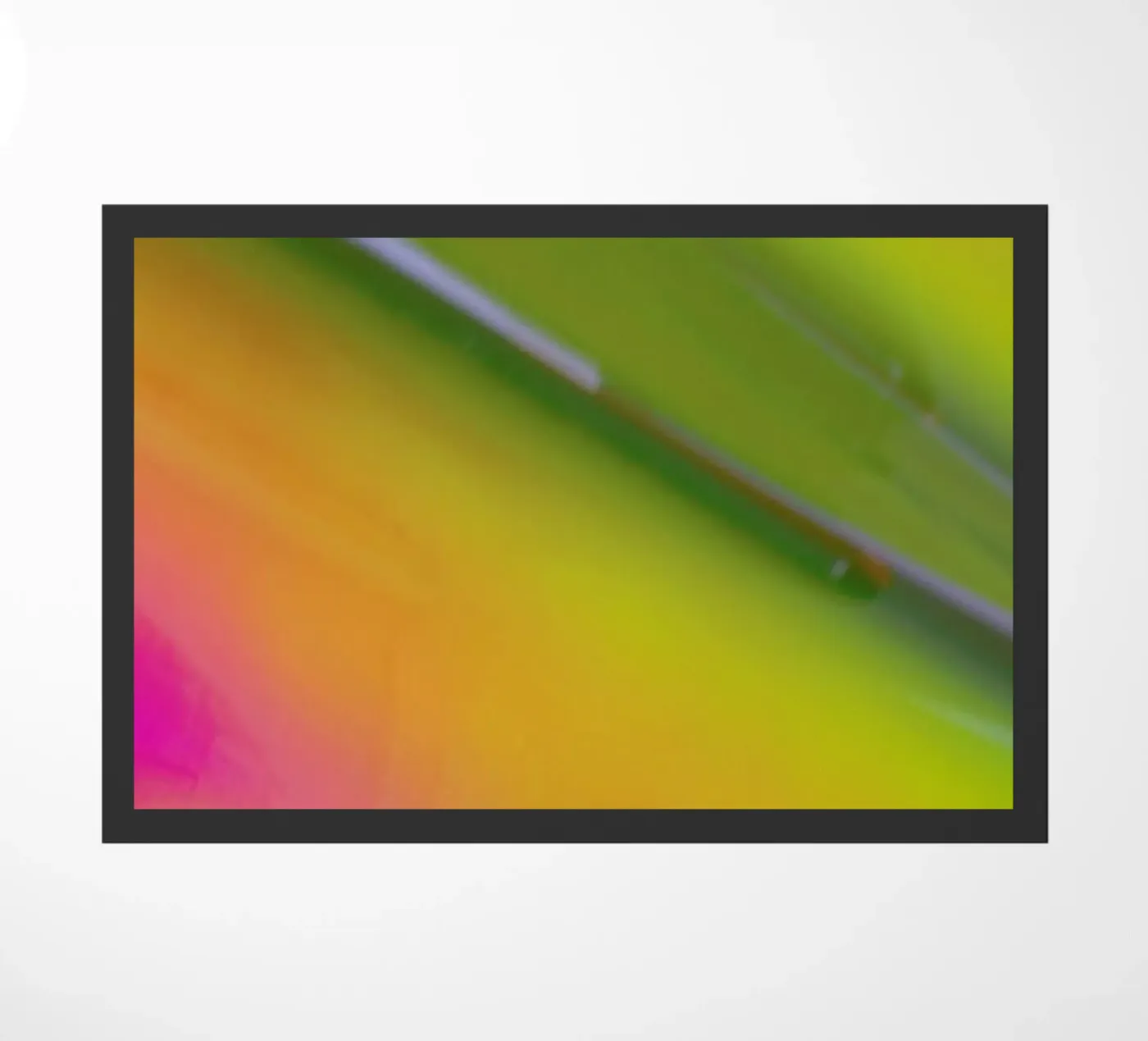 Pluto zerbino da Elena Veronese