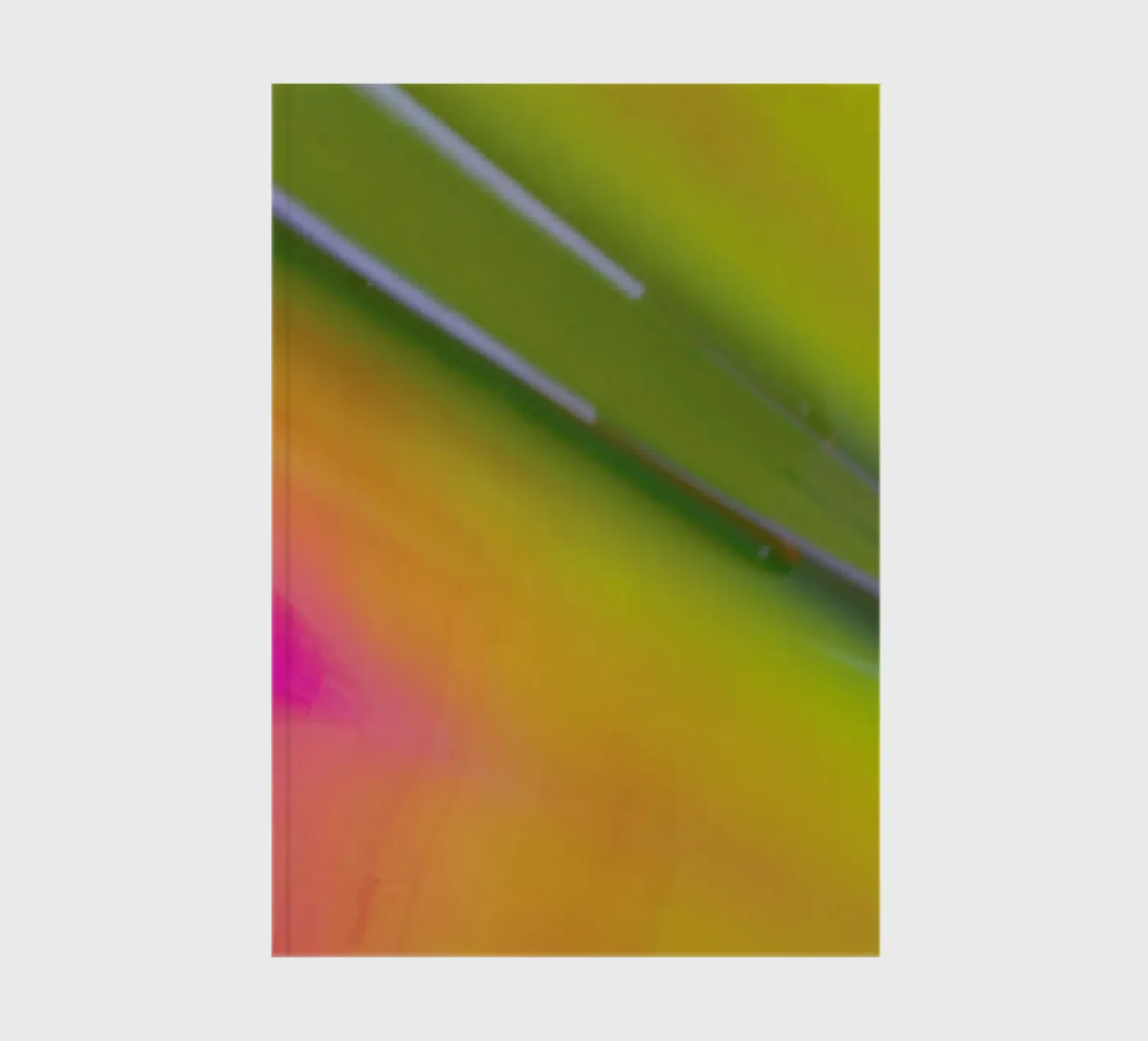 Pluto quaderno da Elena Veronese