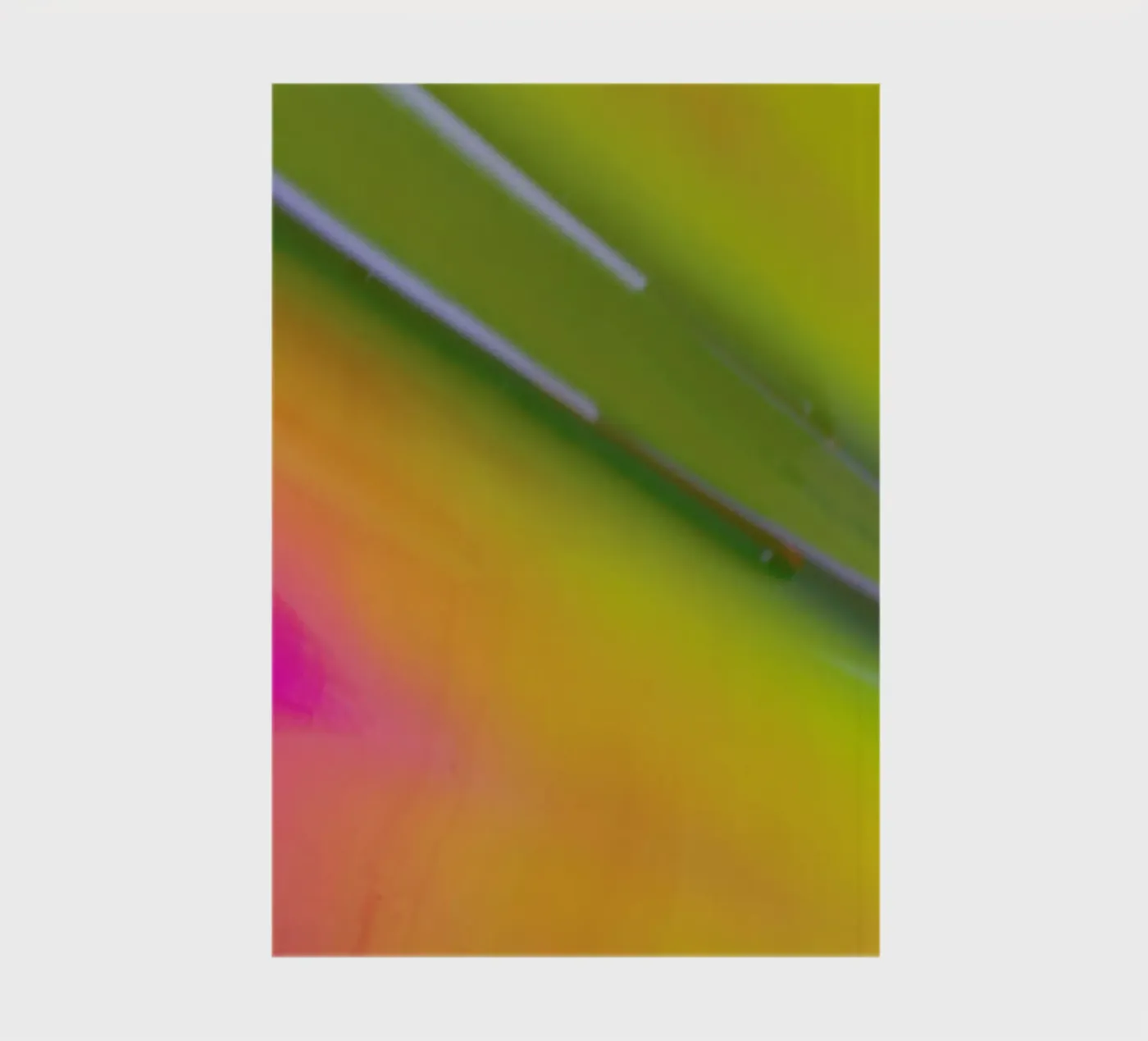 Pluto quaderno da Elena Veronese