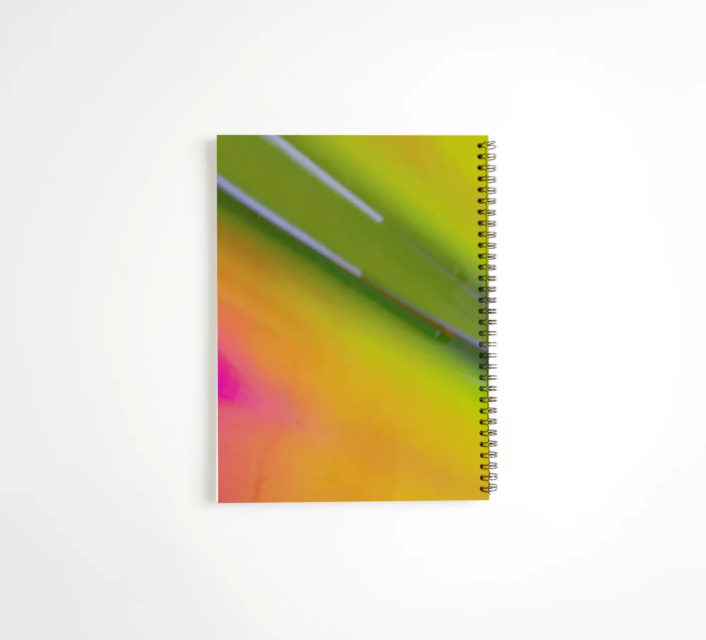 Pluto spiral notebook by Elena Veronese