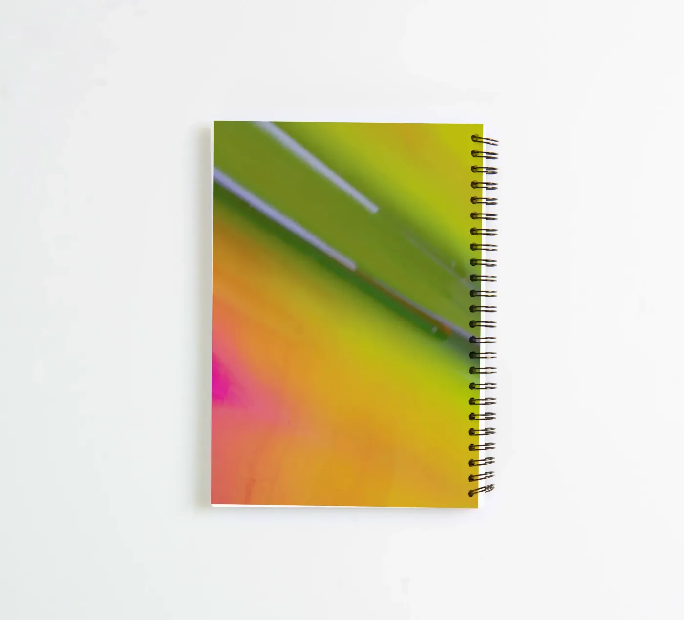 Pluto spiral notebook by Elena Veronese