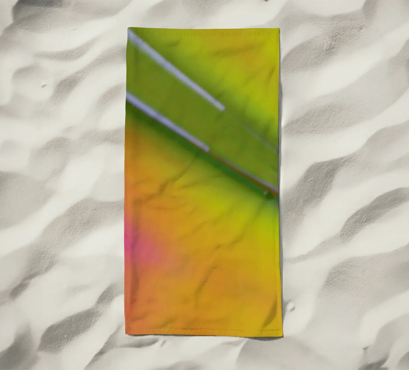 Pluto telo mare da Elena Veronese