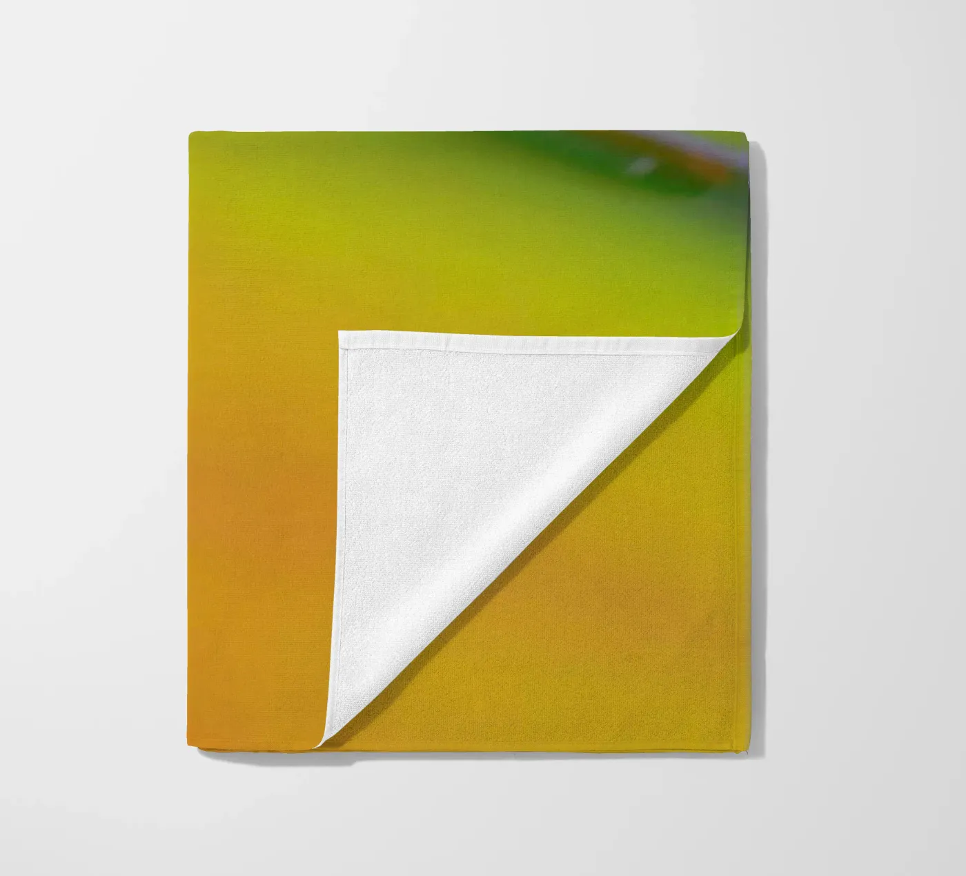 Pluto telo mare da Elena Veronese