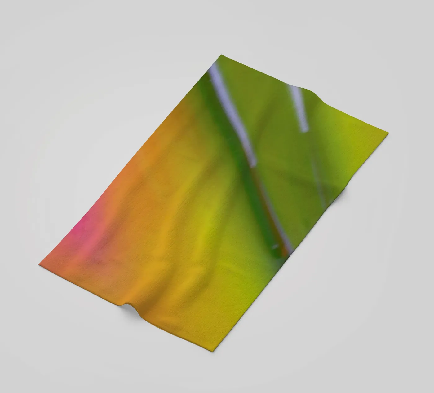 Pluto telo mare da Elena Veronese