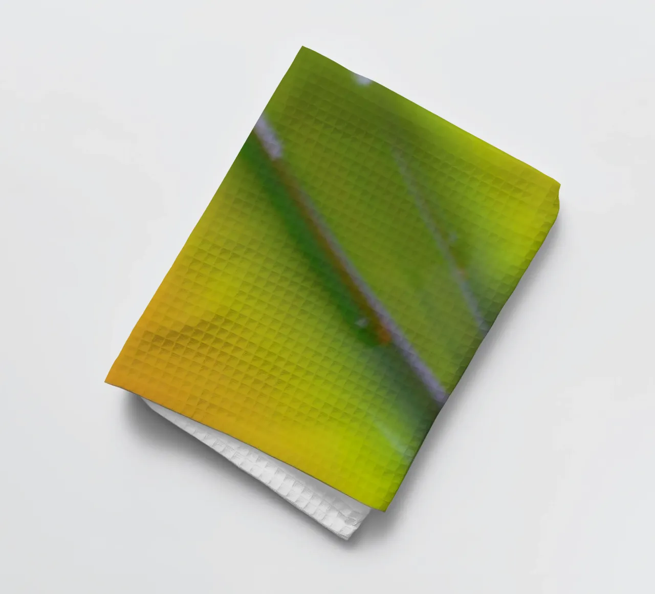 Pluto torchon de Elena Veronese