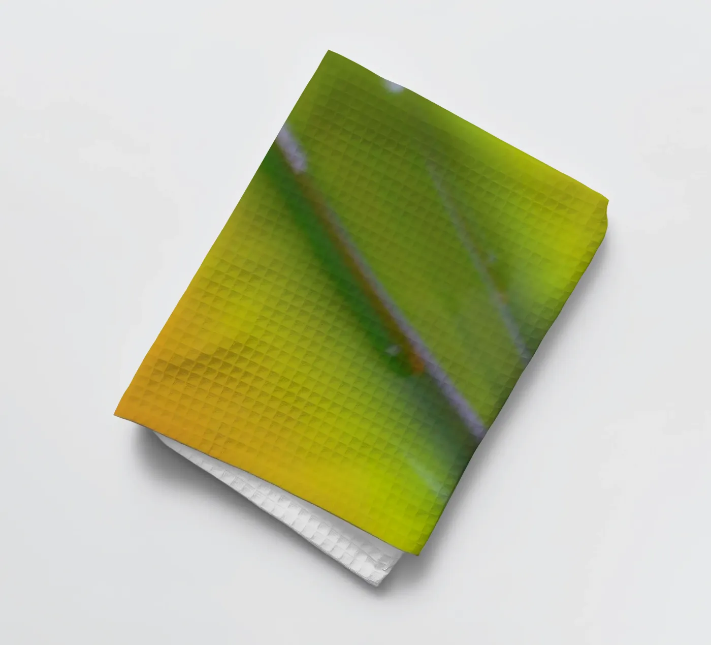 Pluto Geschirrtuch von Elena Veronese