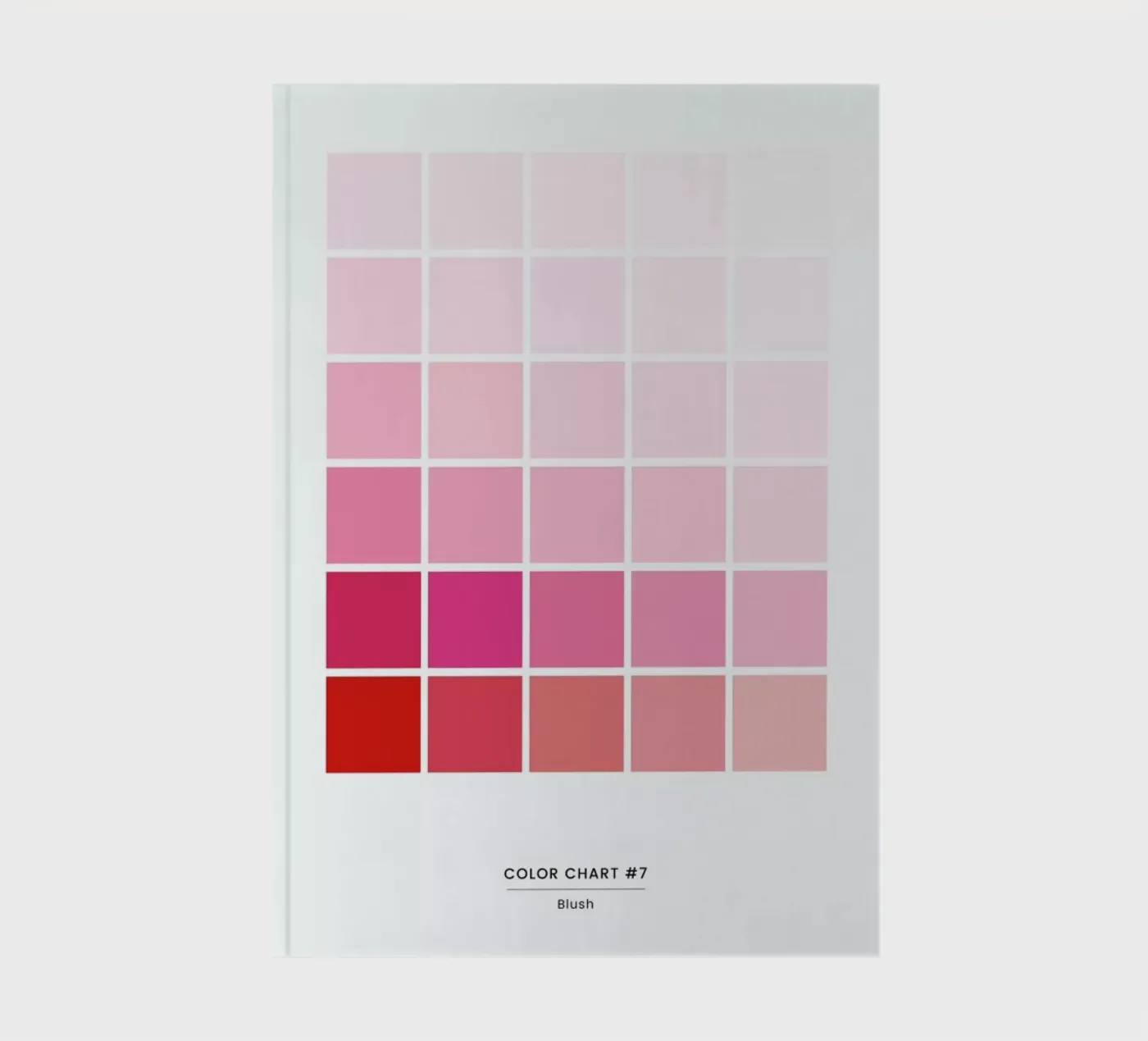 Blush notebook by daylight design studio