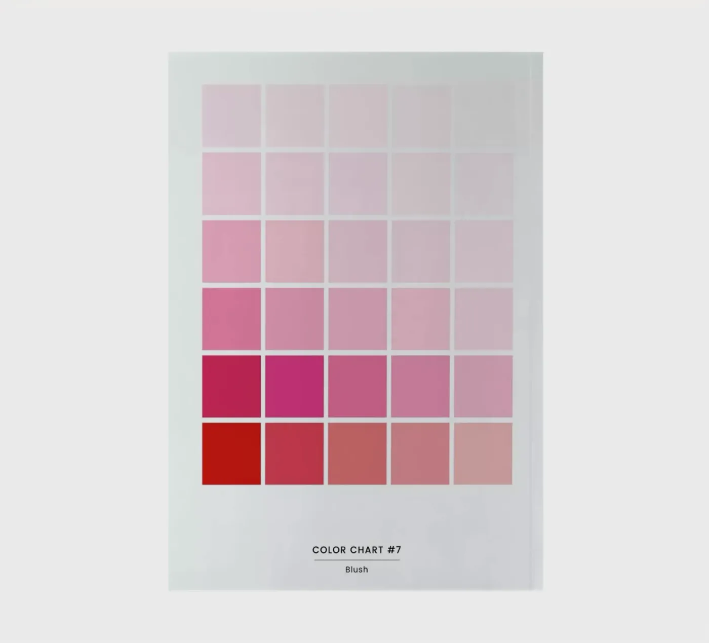 Blush notebook by daylight design studio