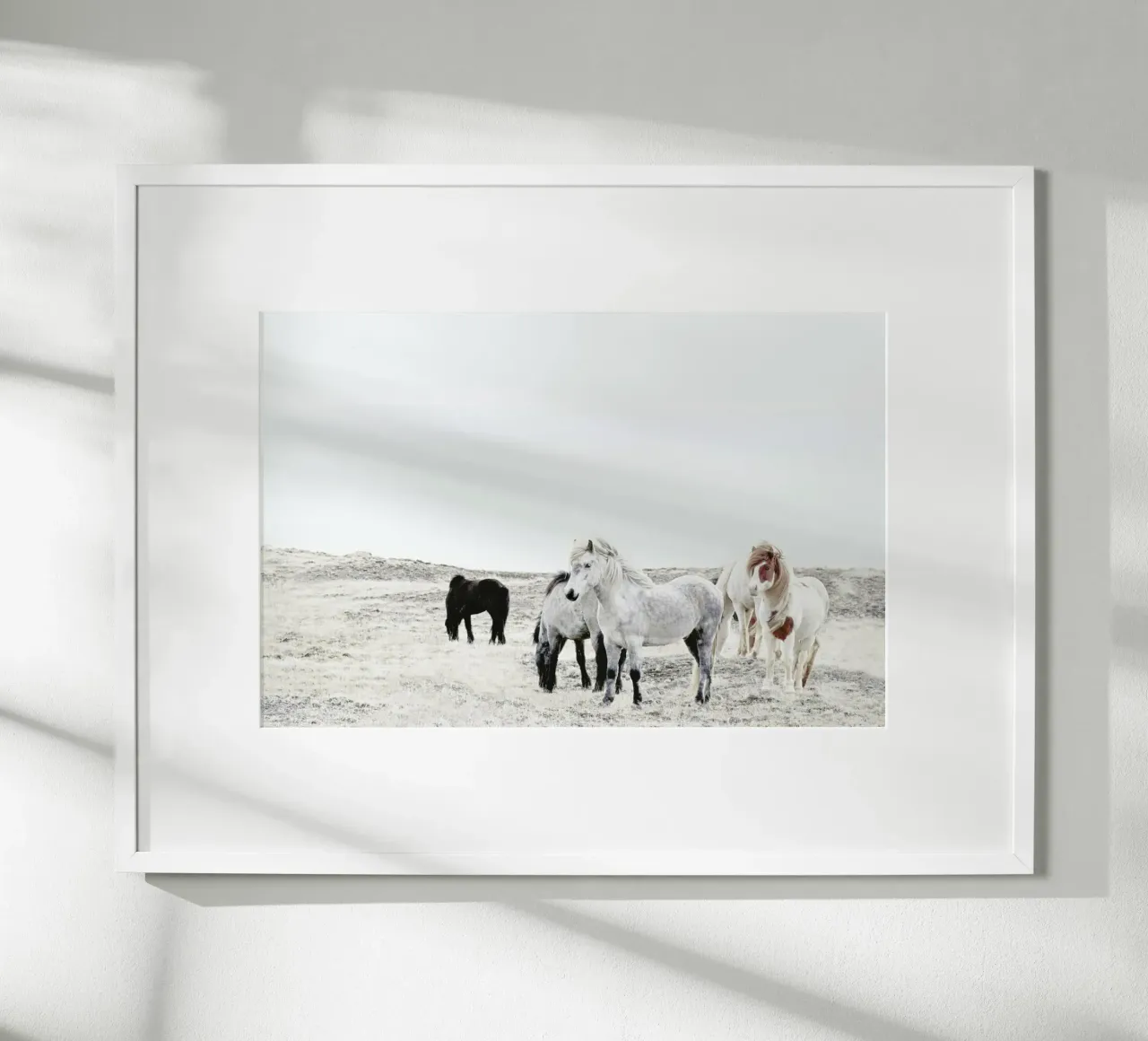Wild and Free Horses 1 carta hahnemühle da Monika Strigel