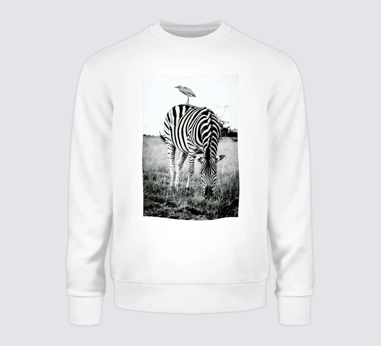 Zebra and Friend felpa da Natural Kingdom