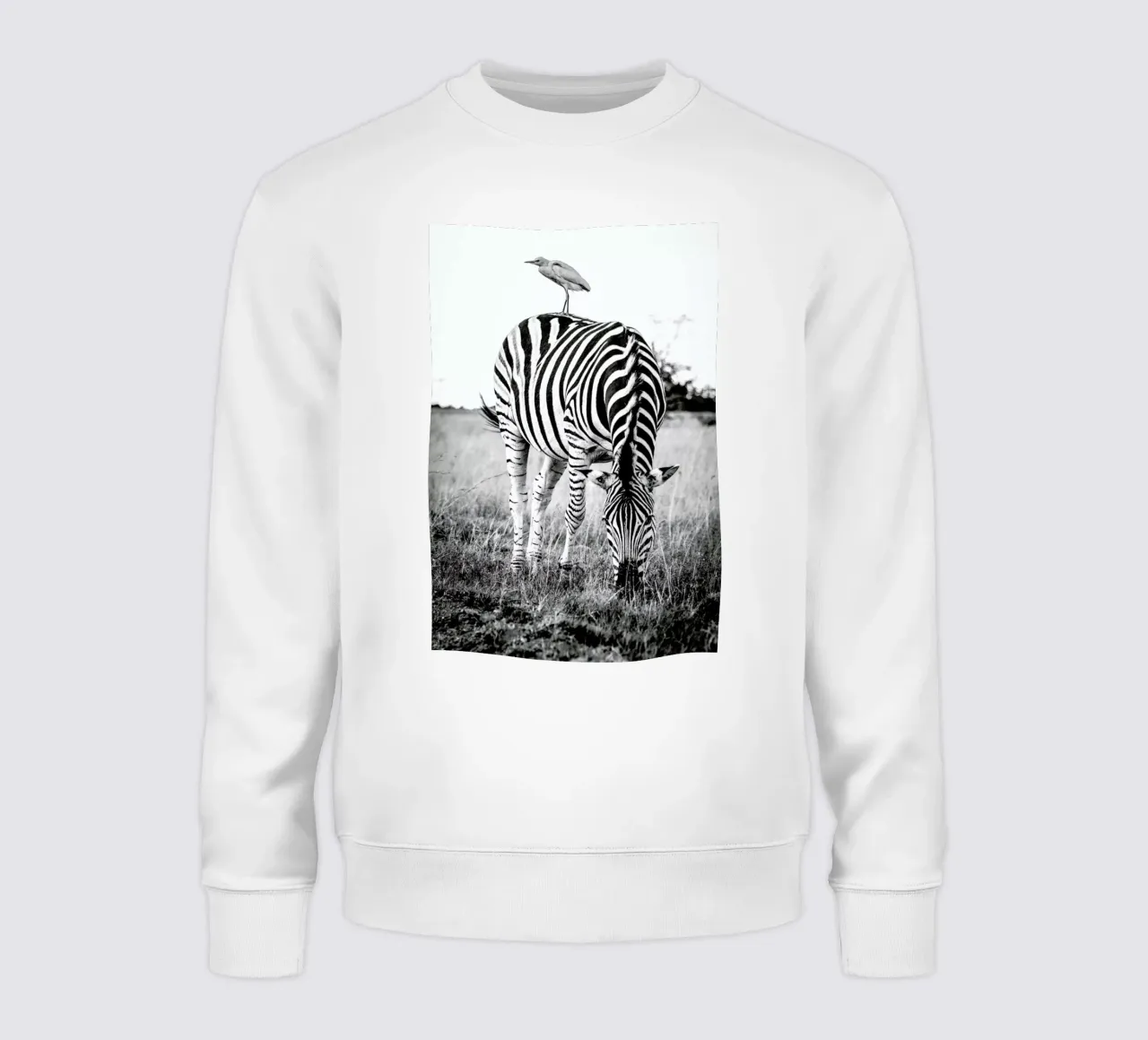 Zebra and Friend felpa da Natural Kingdom