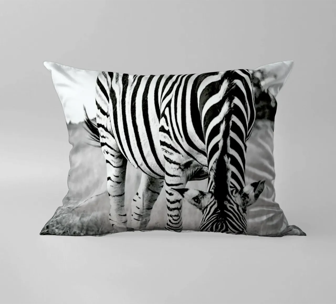 Zebra and Friend cuscino da Natural Kingdom