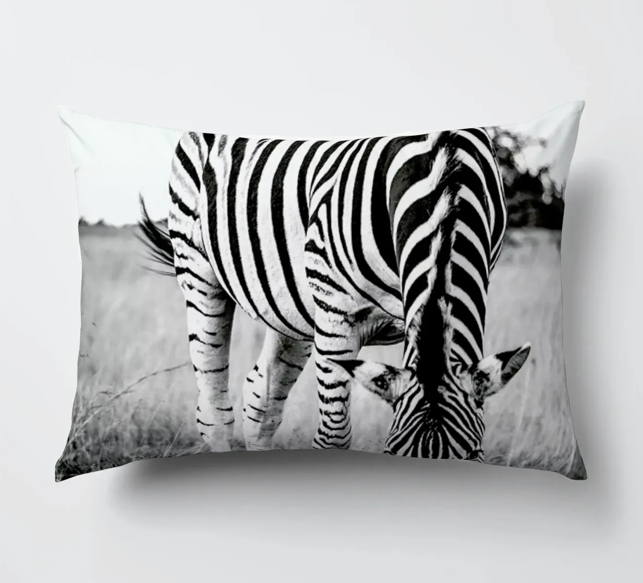 Zebra and Friend cuscino da Natural Kingdom