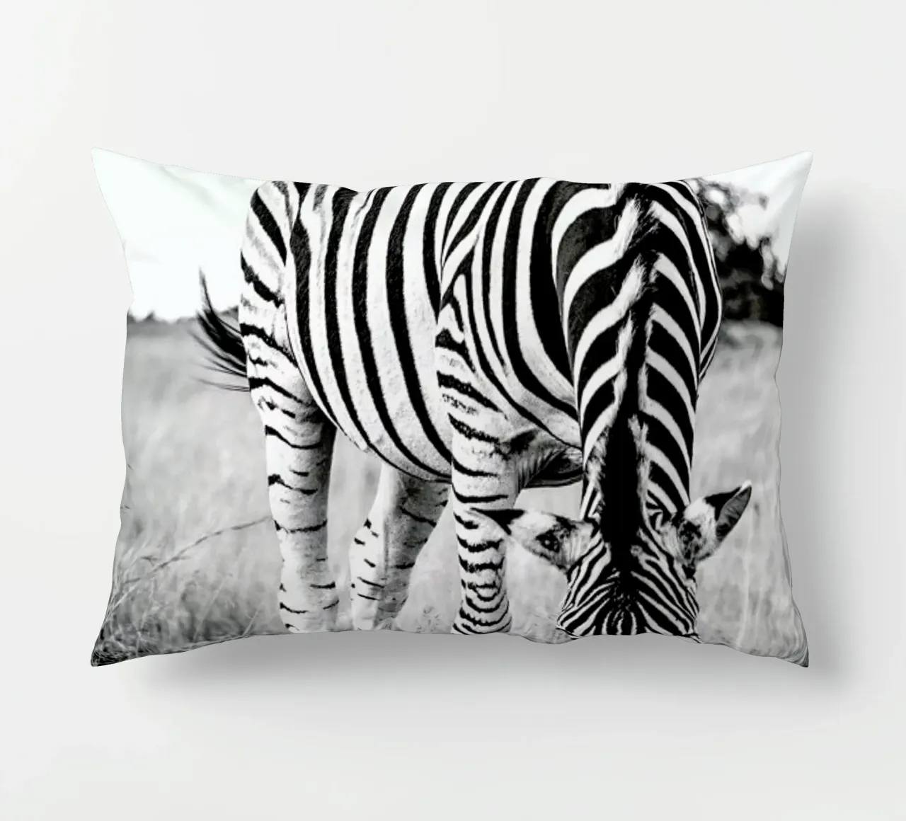 Zebra and Friend cuscino da Natural Kingdom