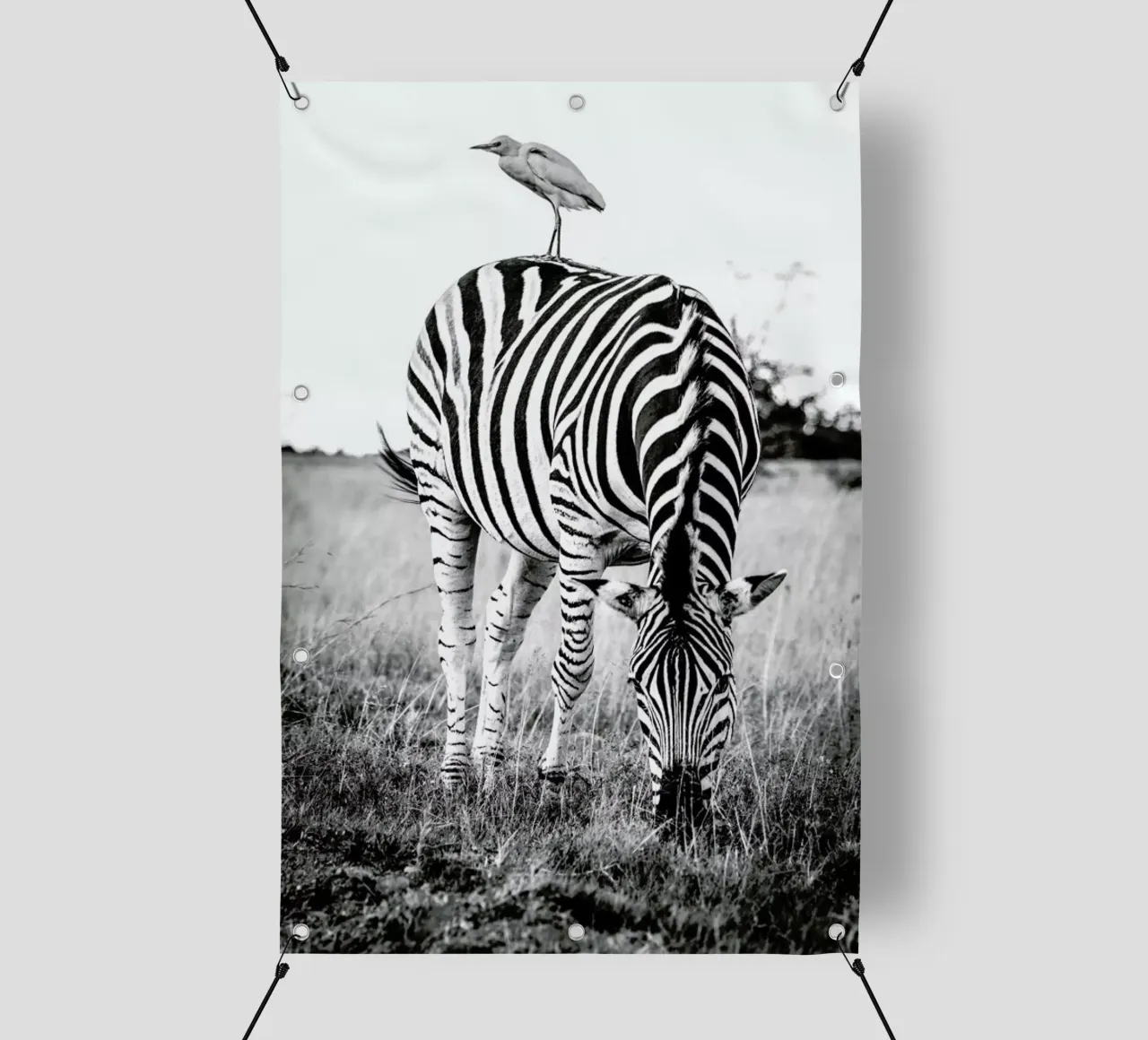 Zebra and Friend telo in pvc da Natural Kingdom