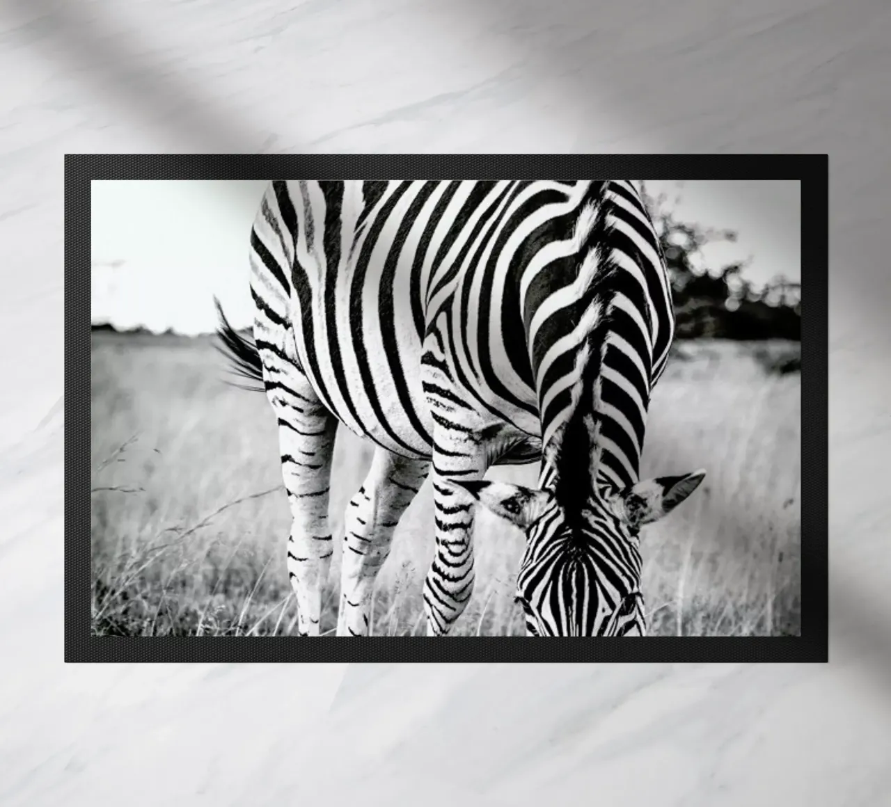 Zebra and Friend zerbino da Natural Kingdom