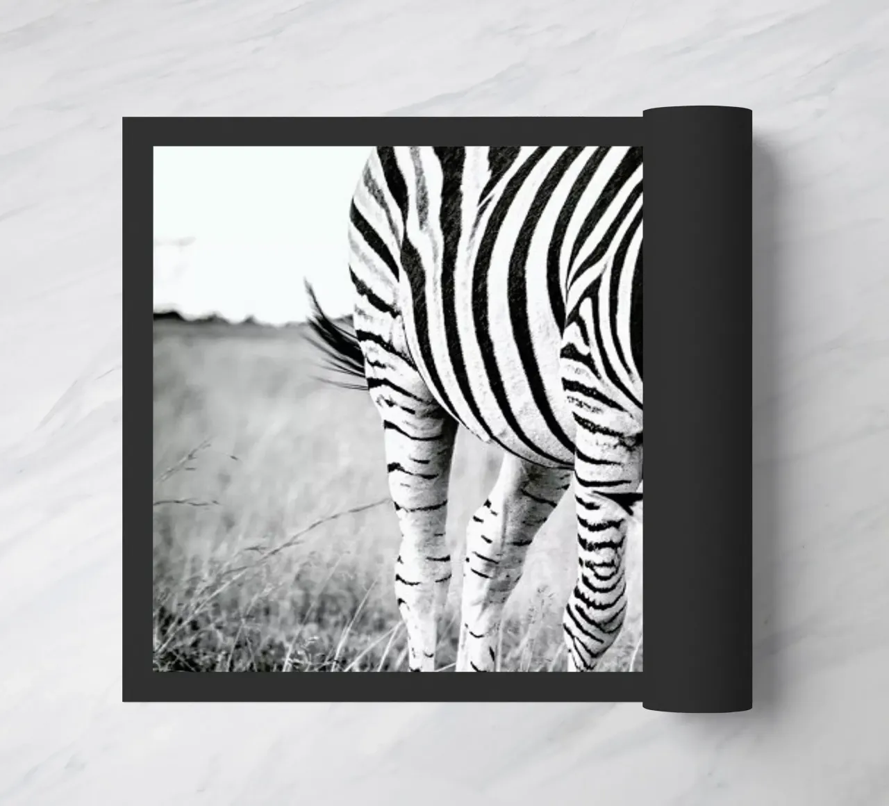 Zebra and Friend zerbino da Natural Kingdom