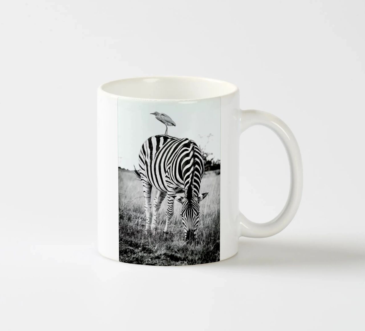 Zebra and Friend tazza in ceramica da Natural Kingdom